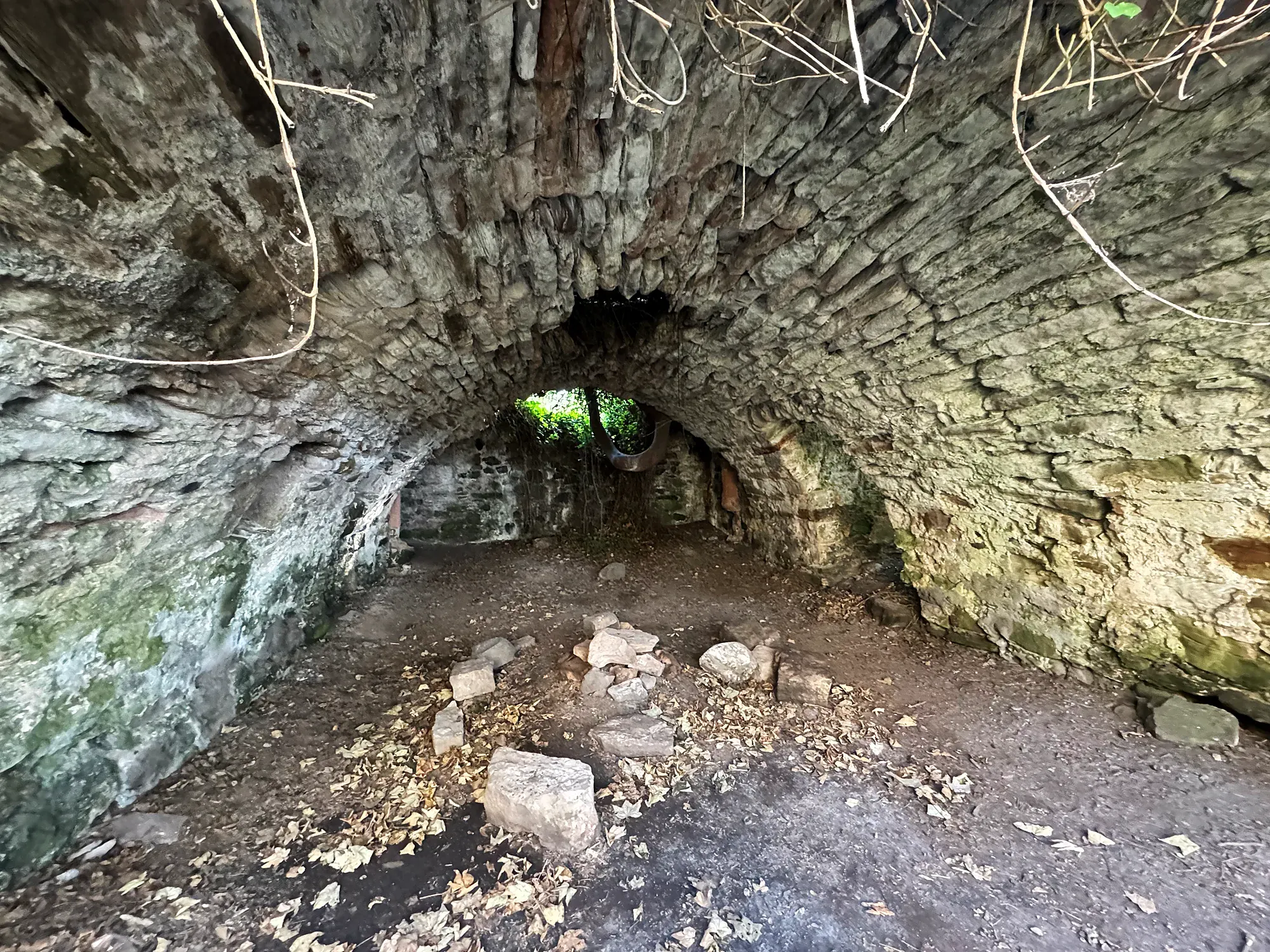 Vaulted cellar of Auldhame Castle