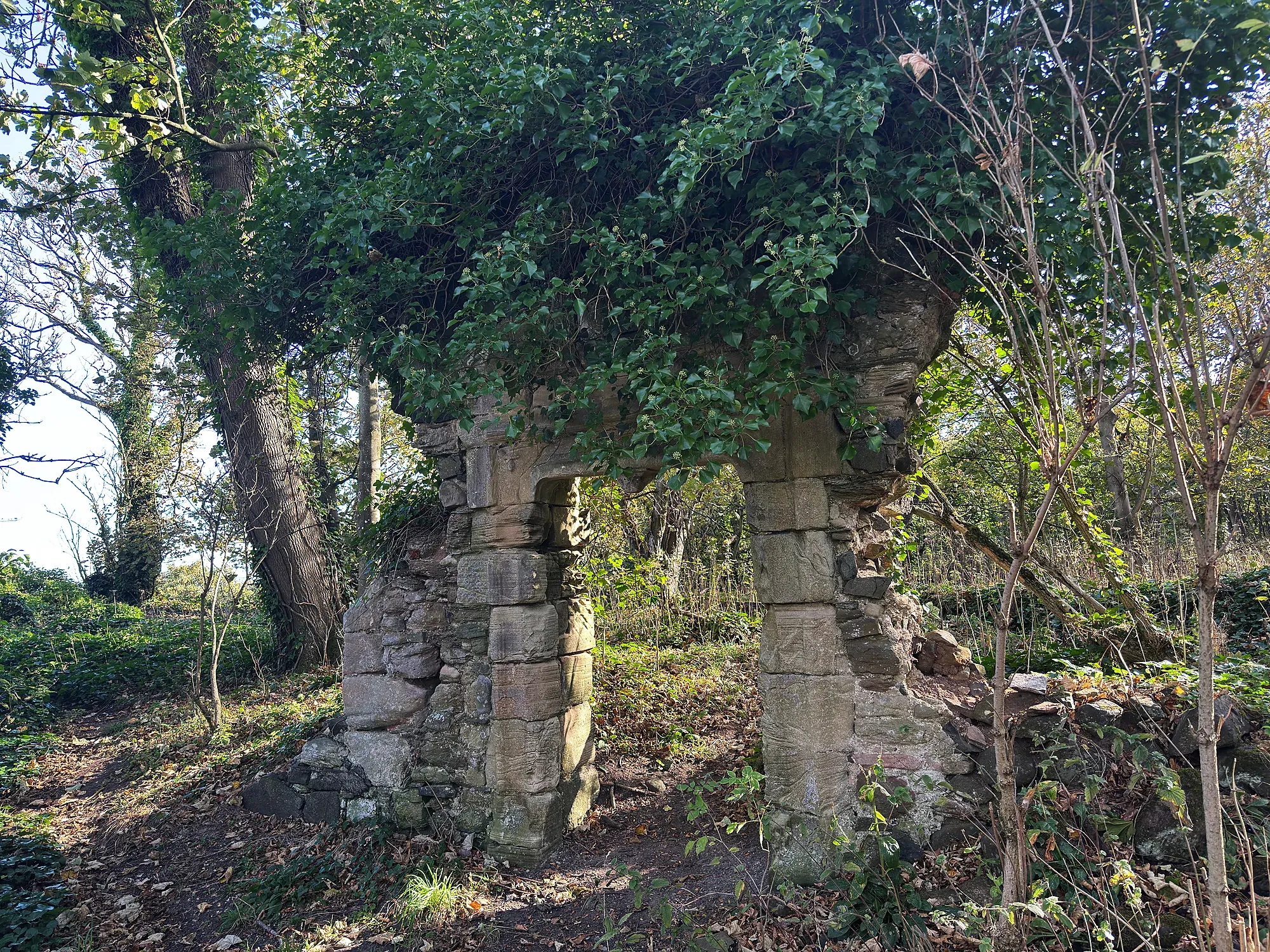 Stone arch in undergrowth at Auldhame
