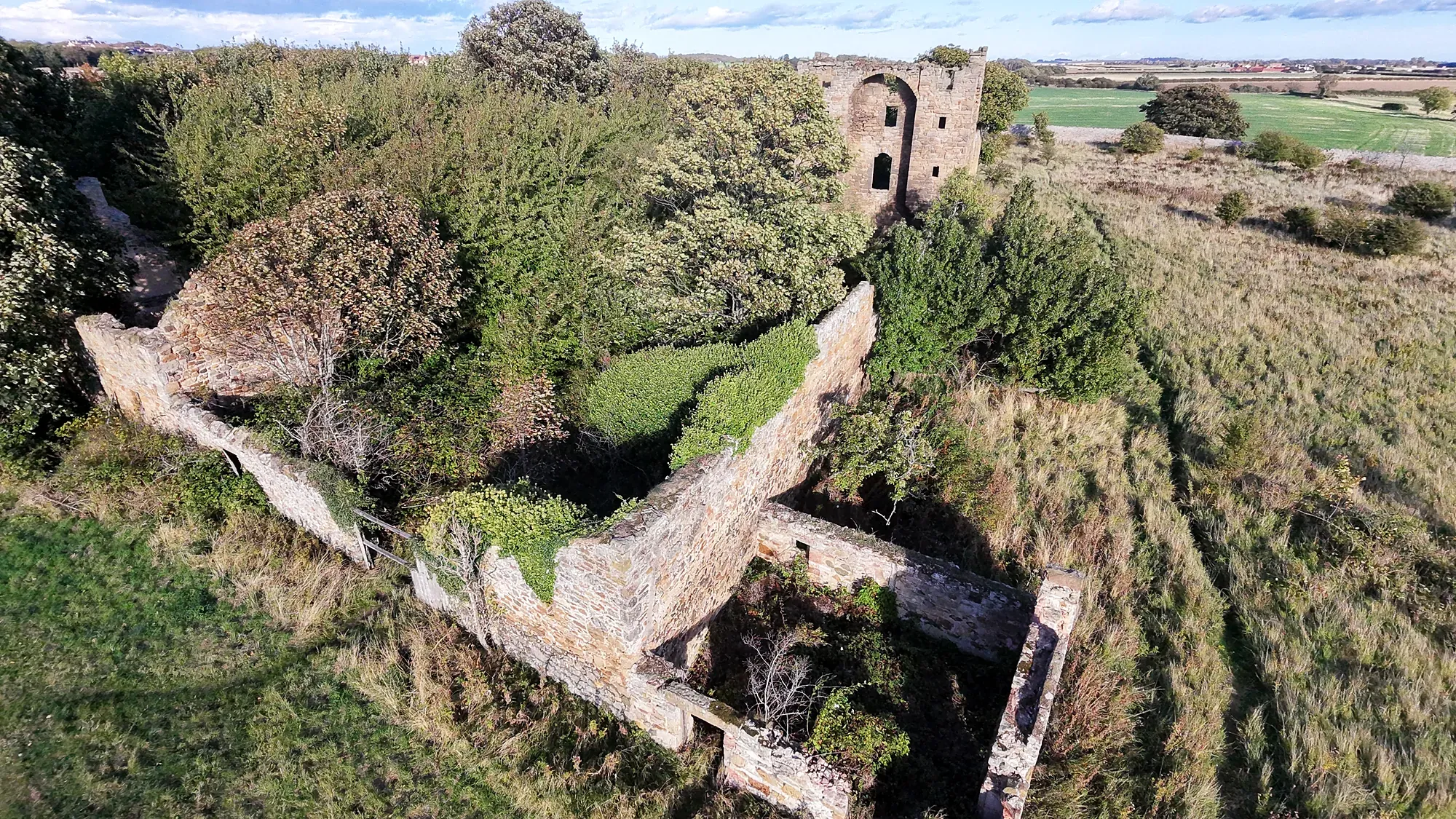 Saltcoats Castle ruins in undergrowth