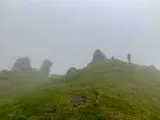 Mgła