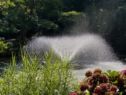 Uspokajająca moc dźwięków natury