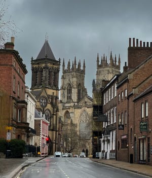 Katedra w York