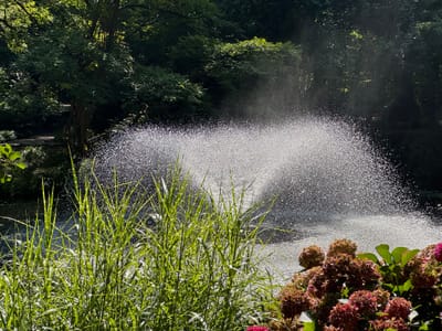 Uspokajająca moc dźwięków natury