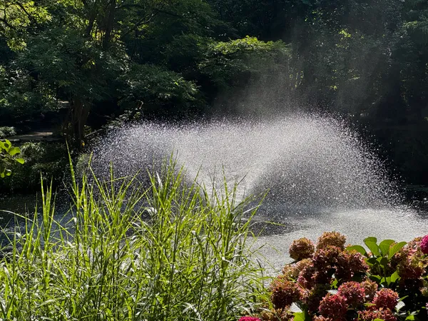 Uspokajająca moc dźwięków natury