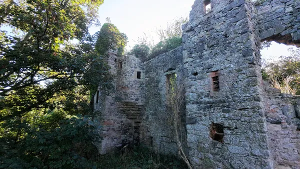 Auldhame Castle ruins among trees