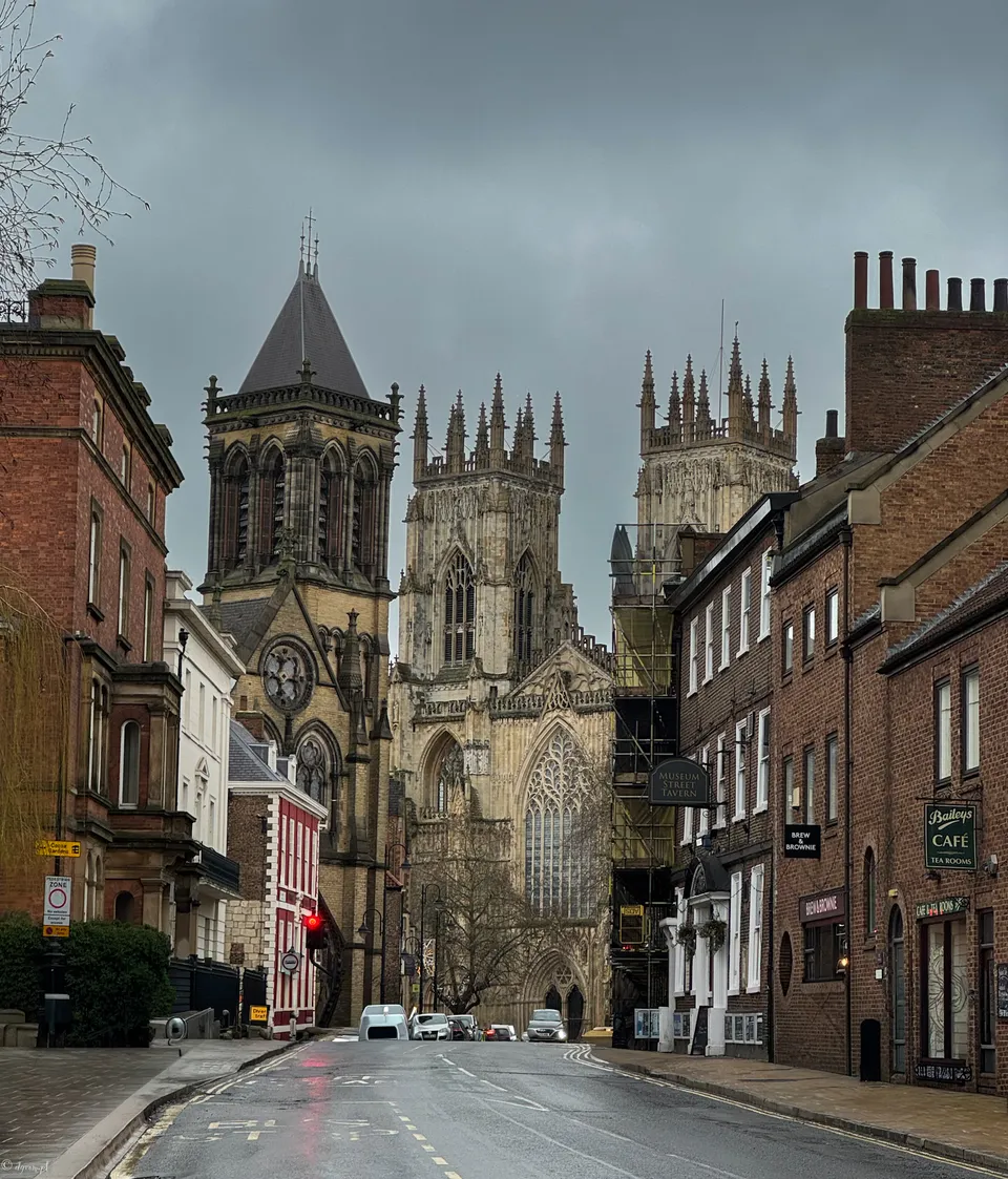 Katedra w York